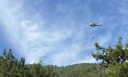 Alanya'da orman yangını: 2 dönüm alan zarar gördü