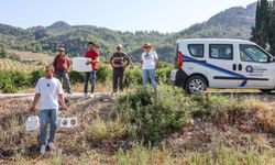 Antalya Büyükşehir Belediyesi böcek dağıtıyor