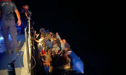 81 kaçak göçmen yakalandı