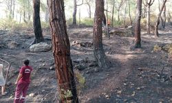 Antalya'nın kaş ilçesindeki orman yangını kontrol altında: Yeşilin koruyucuları mücadelesini kazandı