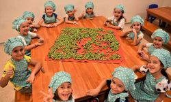 Konyaaltı'nda, minik eller zeytin üretiminde