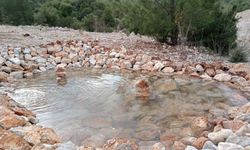 Antalya’da yaban hayvanları susuz kalmıyor