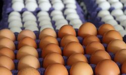 Tayvan'dan vahim iddia! Türkiye'den alınan yumurtalarda kanserojen madde var