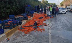 Midibüsle kamyonet çarpıştı, domatesler yola saçıldı