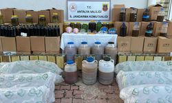 Antalya’da zeytin yağı operasyonu: Endüstriyel boya kullanmışlar
