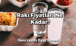 Rakı Fiyatları (ZAMLI): Yeni Rakı, Tekirdağ, Efe Gold Fiyat Listesi!