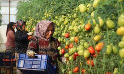 Antalya’ çiftçisinin beli bu kez bükülmedi, kırıldı! Girdi maliyetleri katlandı