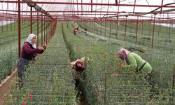 Projeci aday Hekimoğlu: Döşemealtı Belediyesi ihracat yapacak, 400 kadın işe kavuşacak