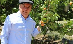 Antalya Büyükşehir Belediyesi coştu! Çiftçiye görülmemiş destek