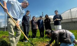 Muratpaşa'da öğrenciler zeytin fidanlarını toprakla buluşturdu