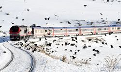 Rüya tren turuyla düşler ülkesine seyahat! Yeni tren turları geliyor…