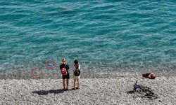 Antalya’da denizanası sürprizi! Kıyılara kadar geldiler