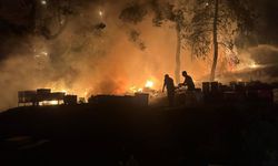 Kemer’deki orman yangını kontrol altında