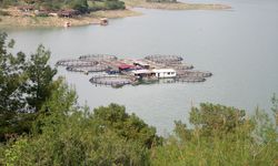 Adana'da baraj gölüne düşen adam kayboldu
