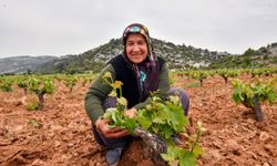 Daha az maliyet, daha çok verim... Mersin Büyükşehir bu projeyle çiftçileri eğitiyor!