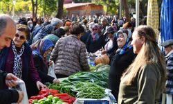 Antalya'da o gıdada fiyatlar yüzde 50 düştü! Kolisi 150 TL'den 75 TL'ye geriledi