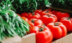 Antalya’da sebze fiyatları uçuyor! 24 Mart 2026 Hal fiyatları