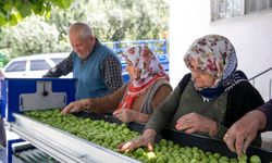 Mersin’de Büyükşehir’den çiftçiye büyük destek!