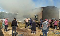 Antalya son dakika! Besihanedeki yangında 500 hayvan son anda kurtarıldı