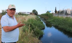 Antalya Düden Çayı’ndaki balık ölümleri! Nedeni günler sonra ortaya çıktı