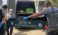 Antalya'da kötü koku ortaya çıkardı! En az 3 gün önce hayatını kaybetmiş