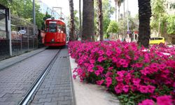 Antalya’nın caddeleri kışın da rengarenk olacak