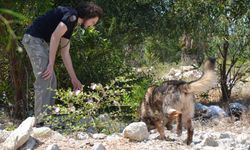 Antalya Serik'te 7 aydır haber alınamayan kadından umut kesildi! Kadavra köpekleri devrede