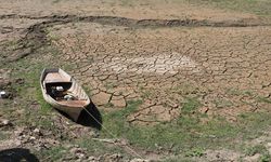 Yazımız kış, kışımız yaz! El Nino dengeleri yerle bir ediyor