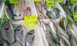 Antalya’da Mayıs ayında hangi balıklar tüketiliyor?