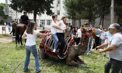 Antalya'da ezberleri bozan 19 Mayıs kutlaması! Öğretmenlerin deveyle imtihanı