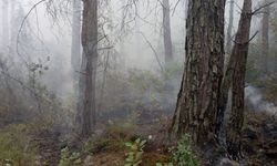 Konyaaltı'ndaki orman yangını kontrol altına alındı