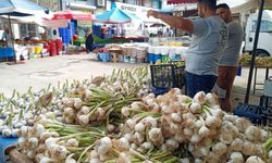 Antalya Muratpaşa Salı Pazarı’nda güncel sebze ve meyve fiyatları… (28.05.2024)