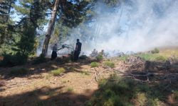 Adana'da orman yangını uzun uğraşlar sonucu kontrol altına alındı