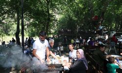 Adanalılar 40 derece sıcakta piknik yaptı