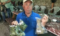 Alman turistler şifayı Antalya'da buldu!  Bu bitkiler kapış kapış gidiyor