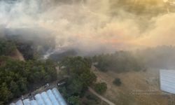 Antalya güne orman yangını ile uyandı