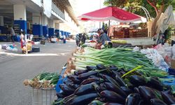Antalya’da sebze-meyve fiyatları hem el hem cep yaktı