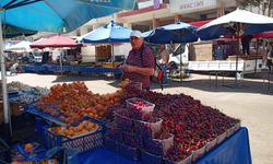 Antalya Muratpaşa Cuma Pazarı’nda güncel sebze ve meyve fiyatları (21 Haziran 2024)