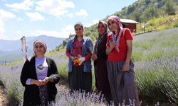 Adanalı 4 kadın bir araya geldi çorak topraklara mor gelinlik giydirdi!