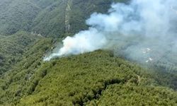 Manavgat orman yangını! 2 Suriyeli tutuklandı