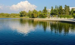 Antalya’nın yaşayan efsanesi! Titreyengöl