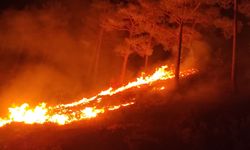 Mersin'de orman yangını! 10 dönüm ormanlık alan kül oldu!