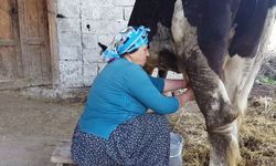 O soru Antalya'da cevap buldu! Süt üretimini bekleyen büyük tehlike...