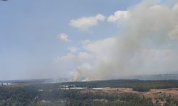 Antalya'da orman yangını! Aksu cayır cayır yandı
