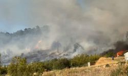 Bursa’da orman yangını! Söndürme çalışmaları devam ediyor