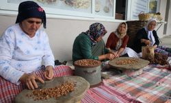 Muğla'da çam fıstığı artık hakkettiği değeri görecek! Üreticiler bilinçleniyor