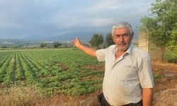 Türkiye’de binlerce çiftçi onların yolunu gözlüyordu! O kente geldiler…