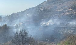 İzmir Foça’daki orman yangınının sebebi belli oldu