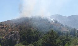 Mersin Anamur'da orman yangını! Müdahale sürüyor