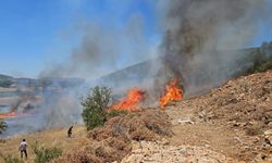 Muğla’da korkutan arazi yangını kontrol altında